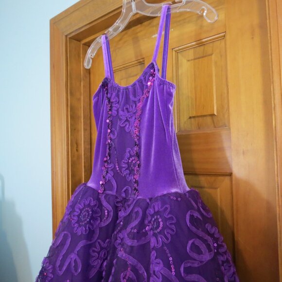 Costume Gallery Purple Ballet Tutu Velvet Sequins Ribbon Flowers Adult Small - Picture 6 of 11